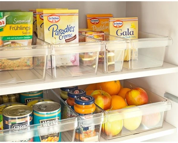 ROTHO LOFT Šaldytuvas Storage Organizer 3.1 L