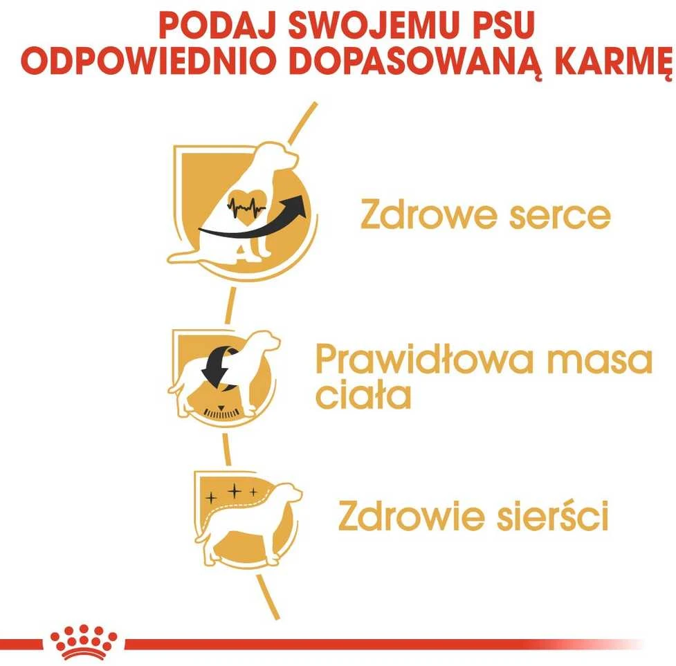 Royal canin bhn cavalier king charles spaniel adult - sausas maistas šuniui dorosłego - 1,5kg