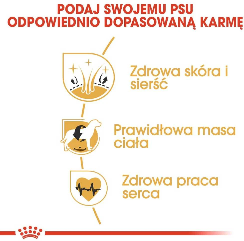 Royal Canin Cocker Adult 12kg