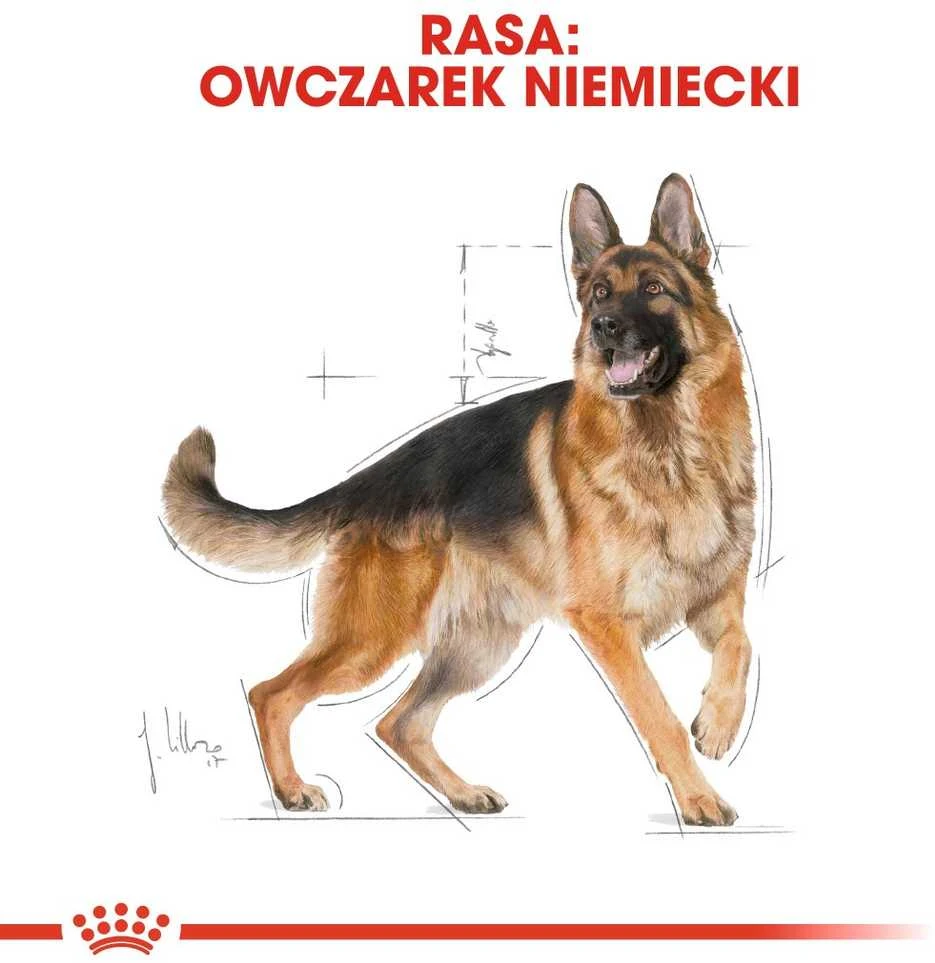 Royal Canin German Shepherd Adult 11kg