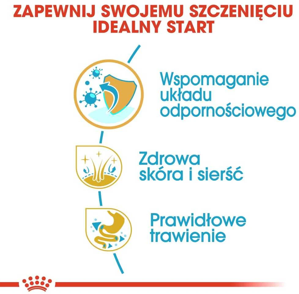 Royal Canin Golden Retriever Puppy sausas maistas auksaspalvių retriverių veislės šuniukams, 12 kg