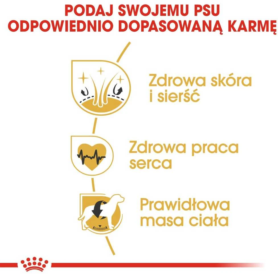 Royal Canin auksaspalvis retriveris suaugęs 12kg