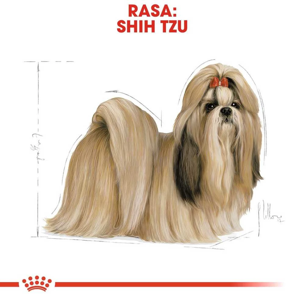 Royal Canin Shih Tzu Adult 1,5kg