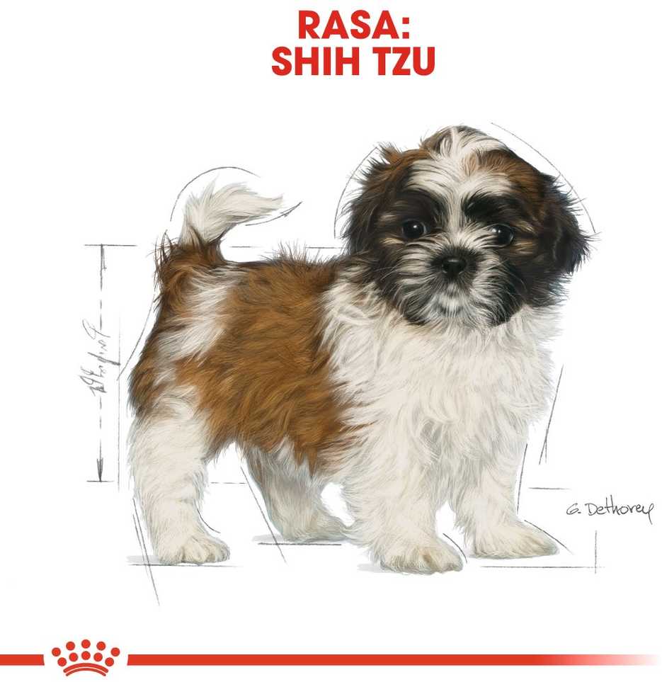 Royal Canin Shih Tzu Junior 1,5kg
