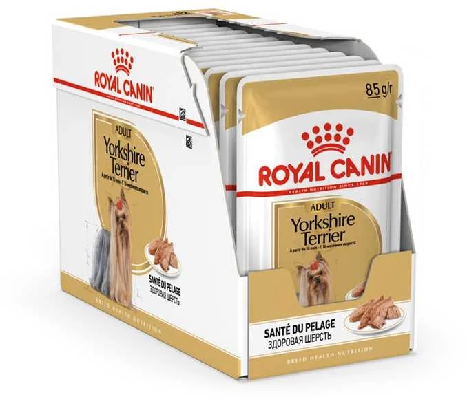 Royal Canin Bhn Yorkshire Terrier Adult - šlapias maistas suaugusiems šunims - 12x85g