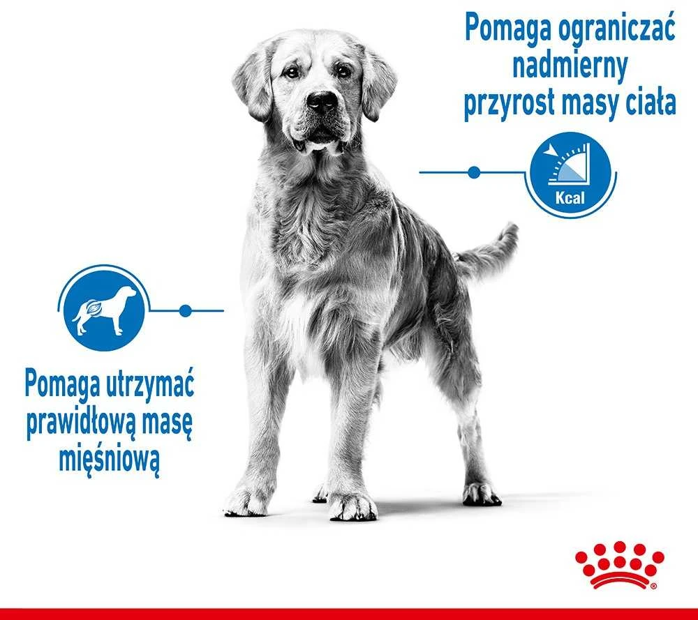 Royal Canin SHN Medium Light Care 3 kg