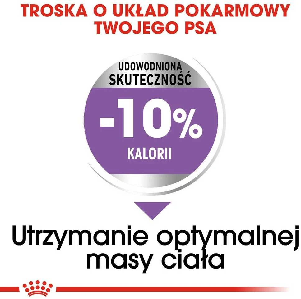 Royal canin ccn medium sterilised - sausas maistas šuniui dorosłego - 3kg