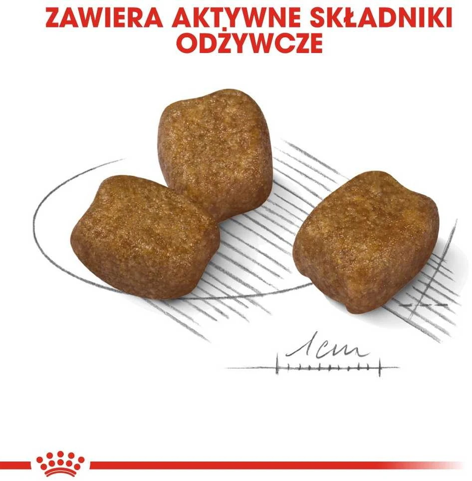 Šunų Maistas - Royal Canin Ccn Mini Dantų Priežiūra, 3kg