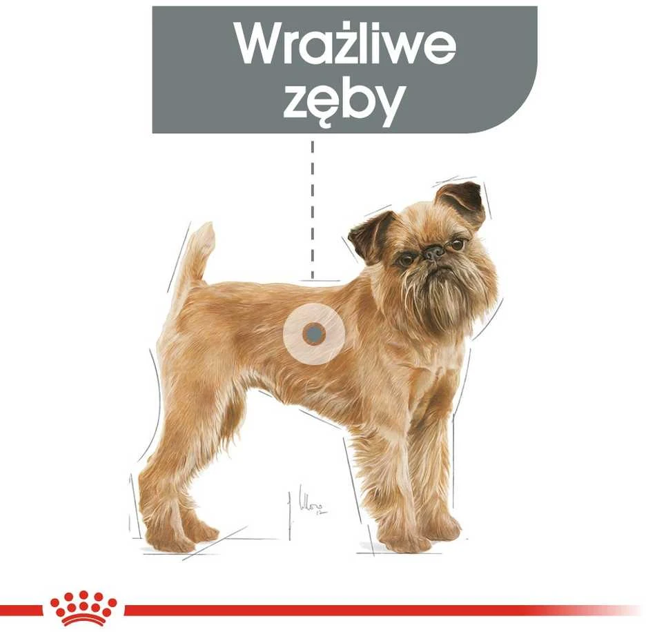 Royal canin ccn mini dental care - sausas maistas suagusiems psów - 3kg