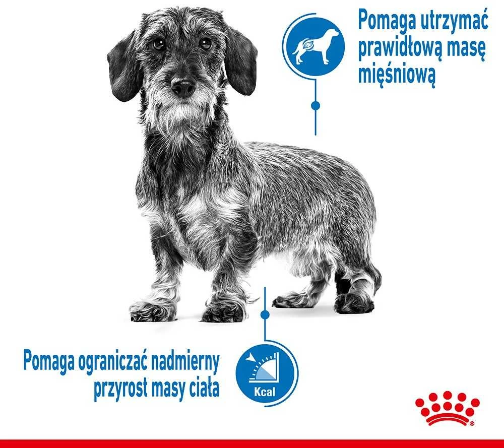 Royal Canin Mini Light Weight Care sausas maistas suaugusiems šunims, mažoms veislems su tendencją antsvoriui 3kg