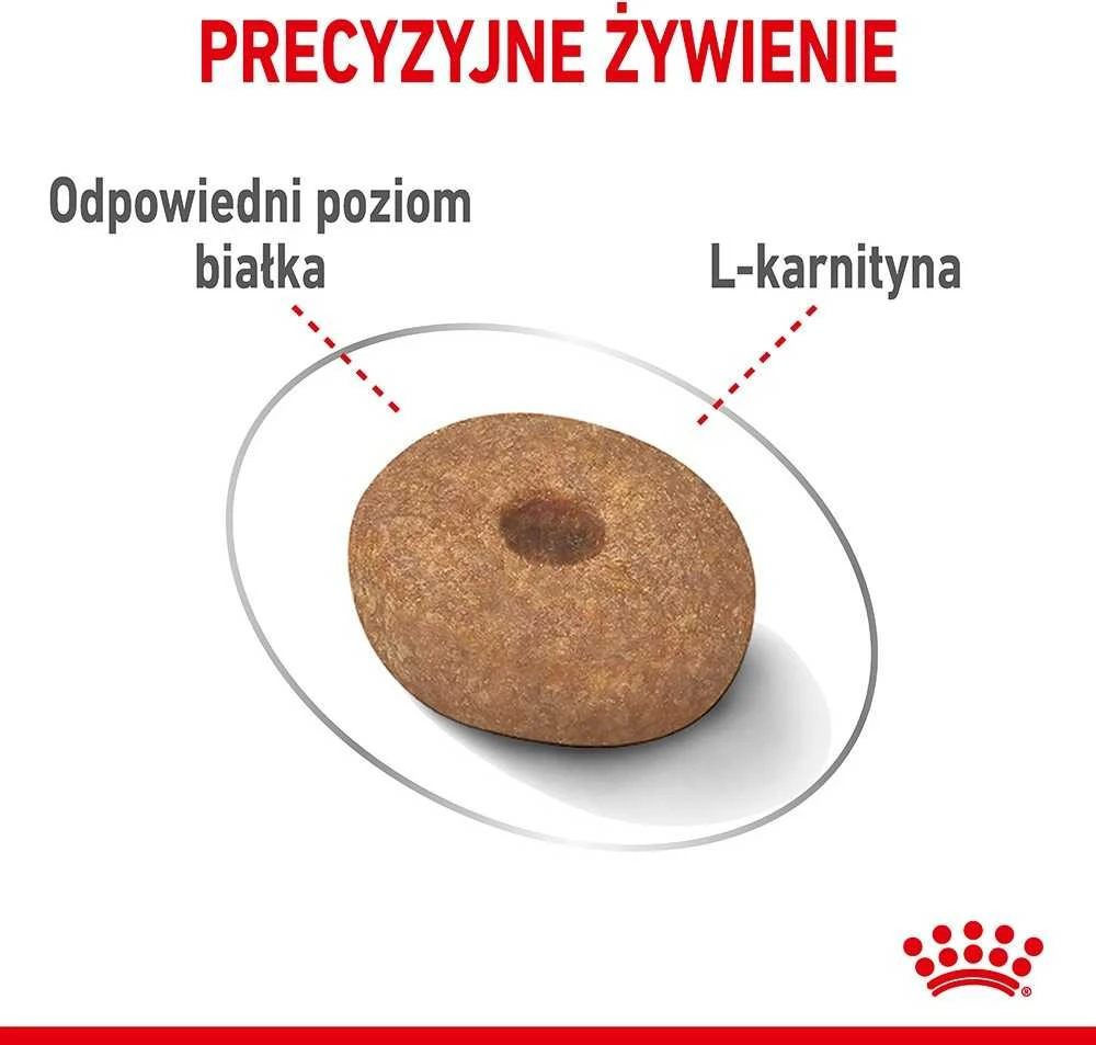 Royal Canin Mini Light Weight Care sausas maistas suaugusiems šunims, mažoms veislems su tendencją antsvoriui 3kg