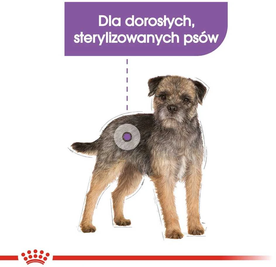 Royal Canin Mini Sterilised 8kg