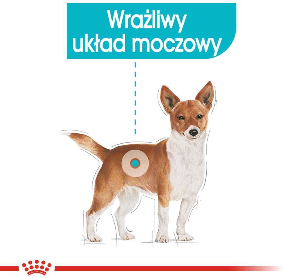 Drėgnas Šunų Maistas - Royal Canin CCN Urinary Care Loaf 12x85g