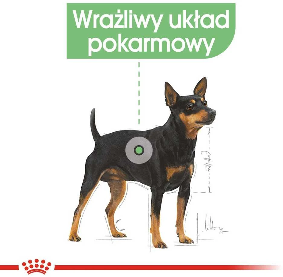 Royal canin ccn virškinimo priežiūros kepalas - šlapias maistas suaugusiam šuniui - 12x85g