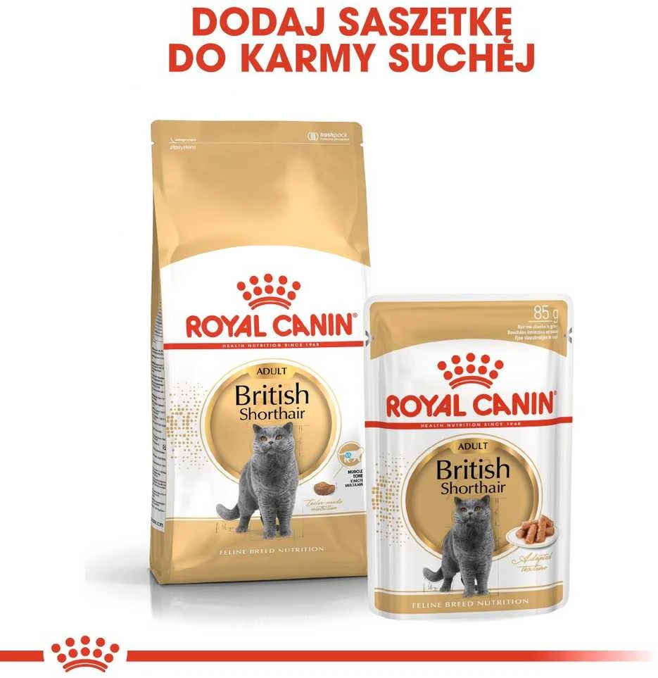 Royal Canin British Shorthair 2kg