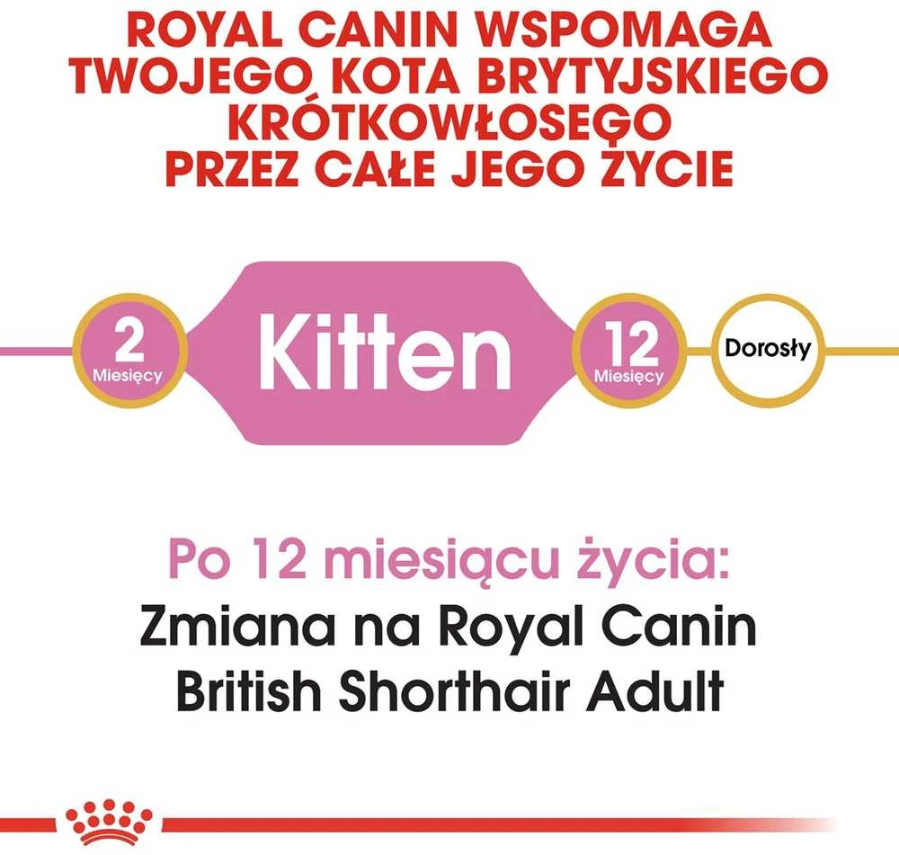 Royal Canin FBN British Shorthair Kitten - sausas maistas kačiukams - 2kg