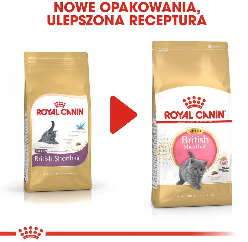Royal Canin FBN British Shorthair Kitten - sausas maistas kačiukams - 2kg