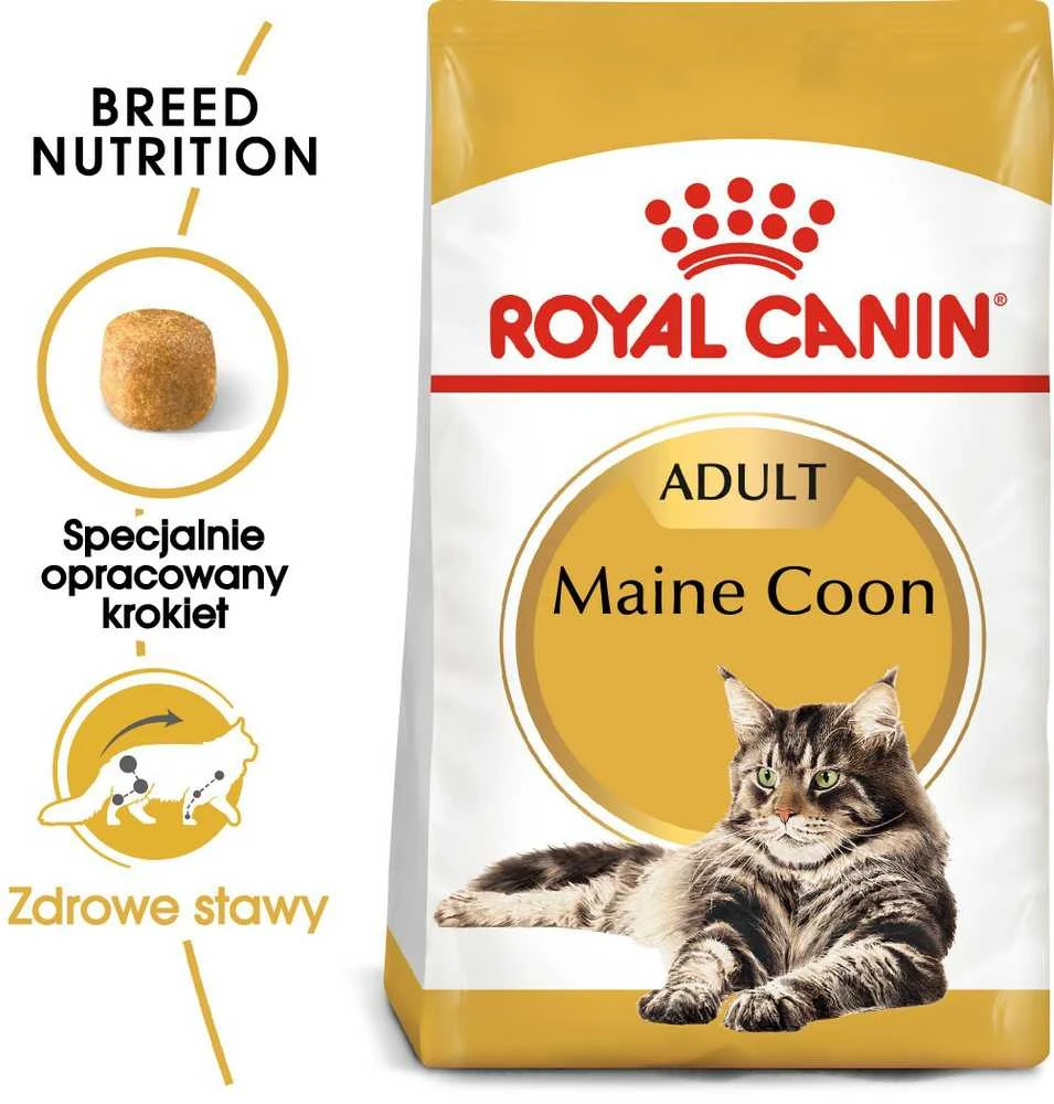 FBN Cat Maine Coon 4kg