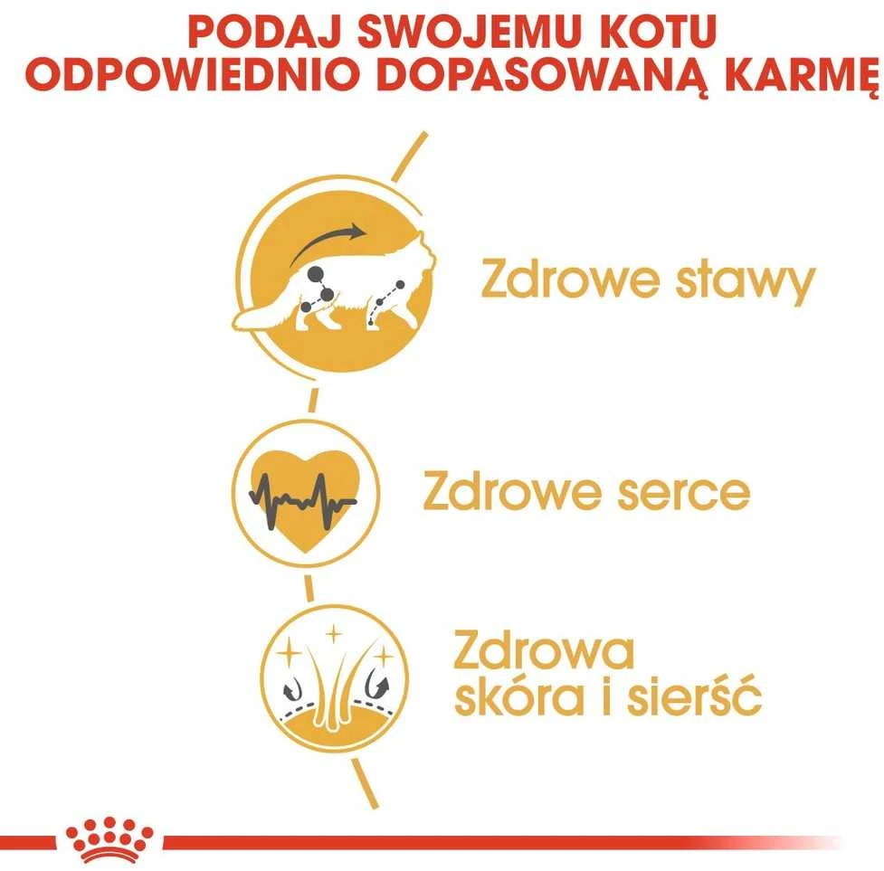 Royal canin fbn maine coon adult - sausas maistas dla dorosłego kota - 10kg