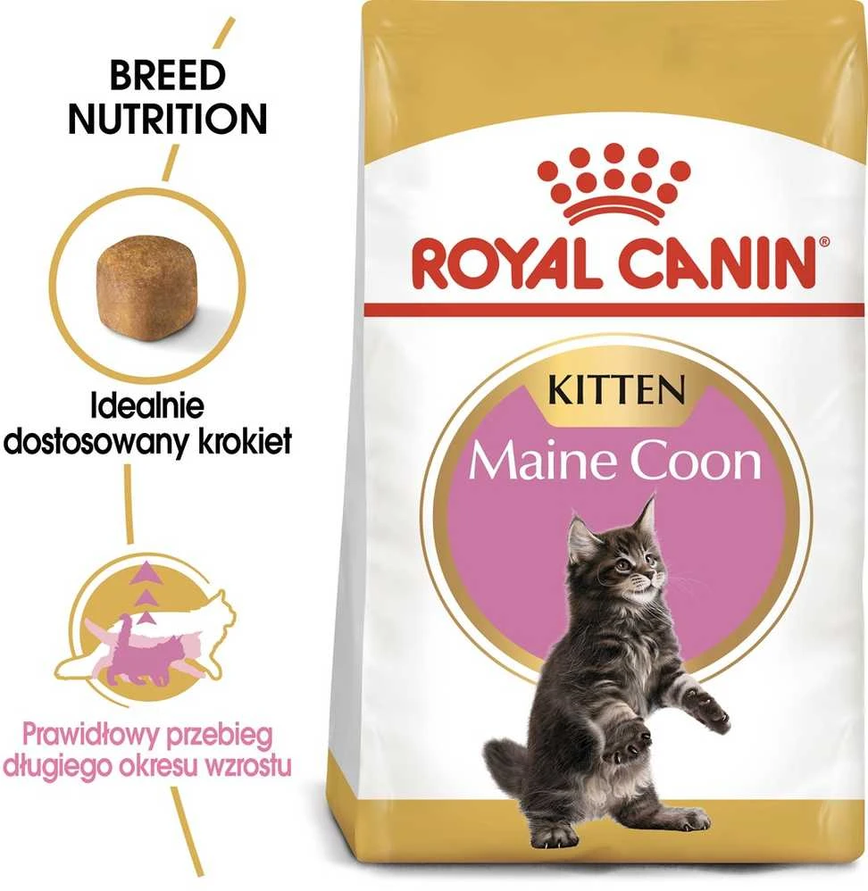 Royal canin fbn maine coon kitten - sausas maistas dla kociąt - 4kg