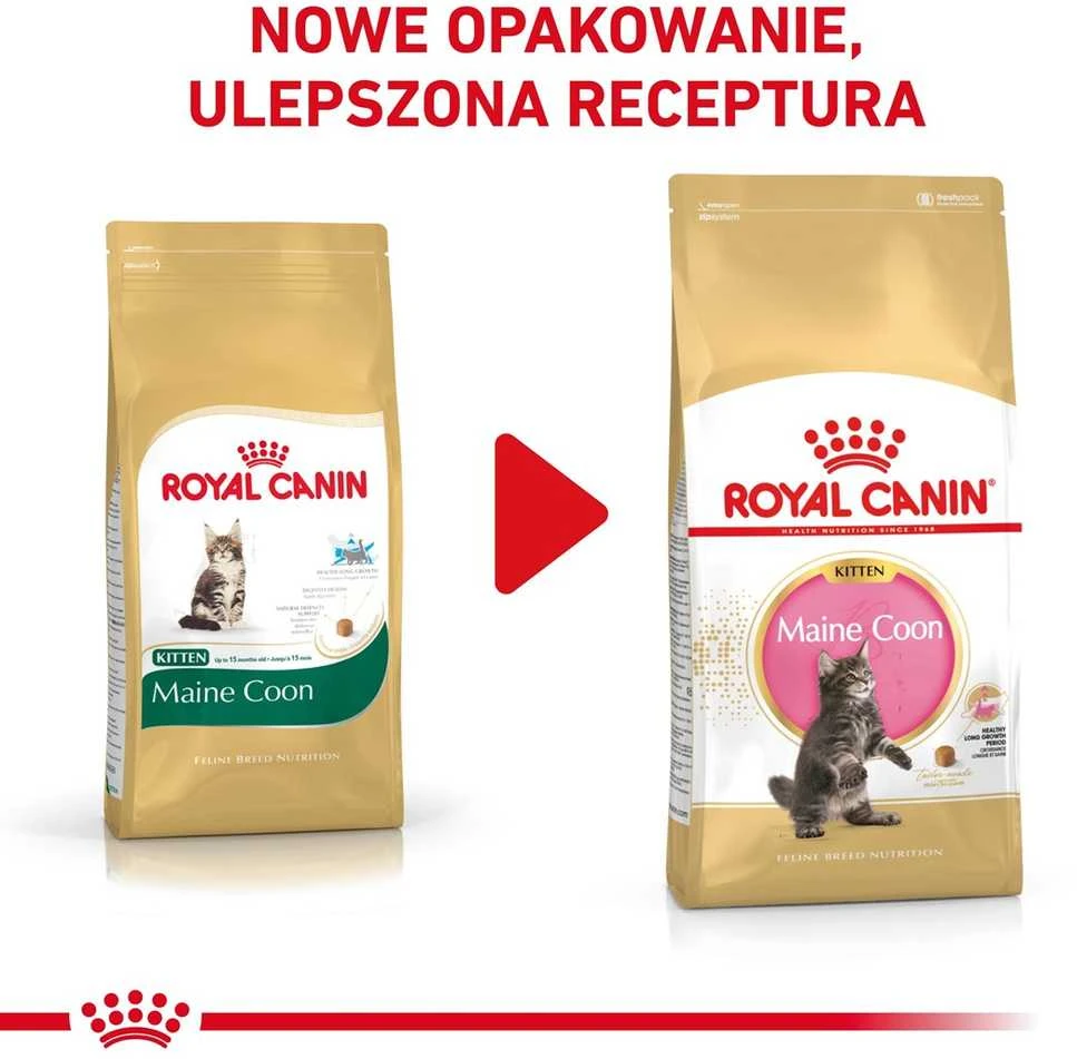 Royal canin fbn maine coon kitten - sausas maistas dla kociąt - 4kg
