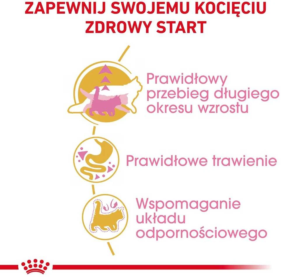 Royal canin fbn maine coon kitten - sausas maistas dla kociąt - 4kg