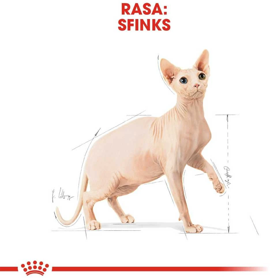 ROYAL CANIN Sphynx 2kg, sfinksų veislės suaugusių kačių sausas pašaras