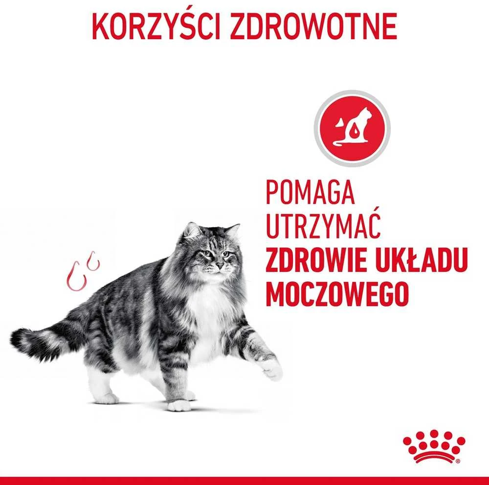 Royal Canin FCN Cat Urinary Care padažas 12x85 g