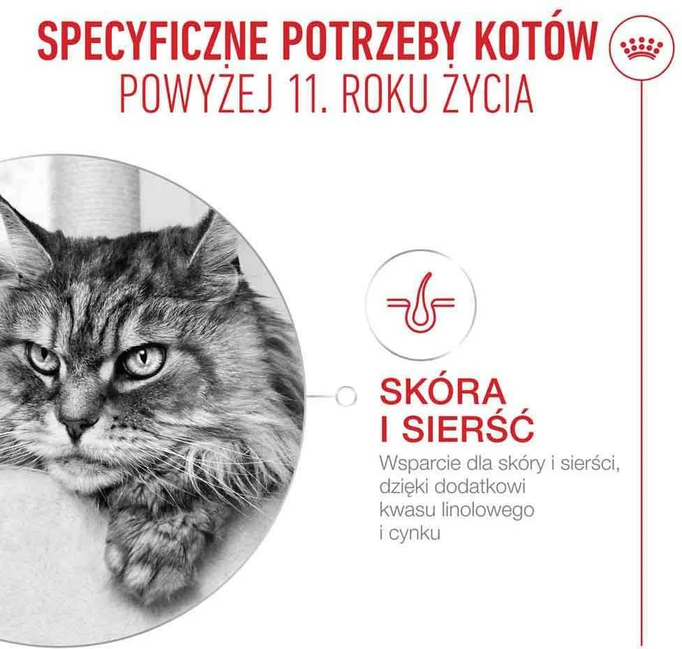 Kačių Maistas - Royal Canin Ageing 11+ Gabaliukai padaže 12x85g