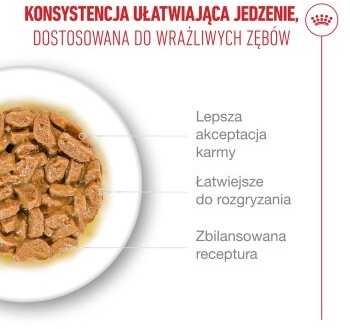 Kačių Maistas - Royal Canin Ageing 15+ Gabaliukai padaže 12x85g