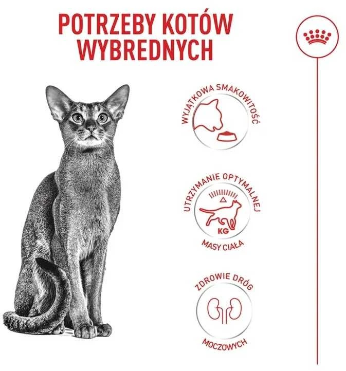 Kačių Maistas - Royal Canin Ageing 11+ Sterilised Sausas 4kg