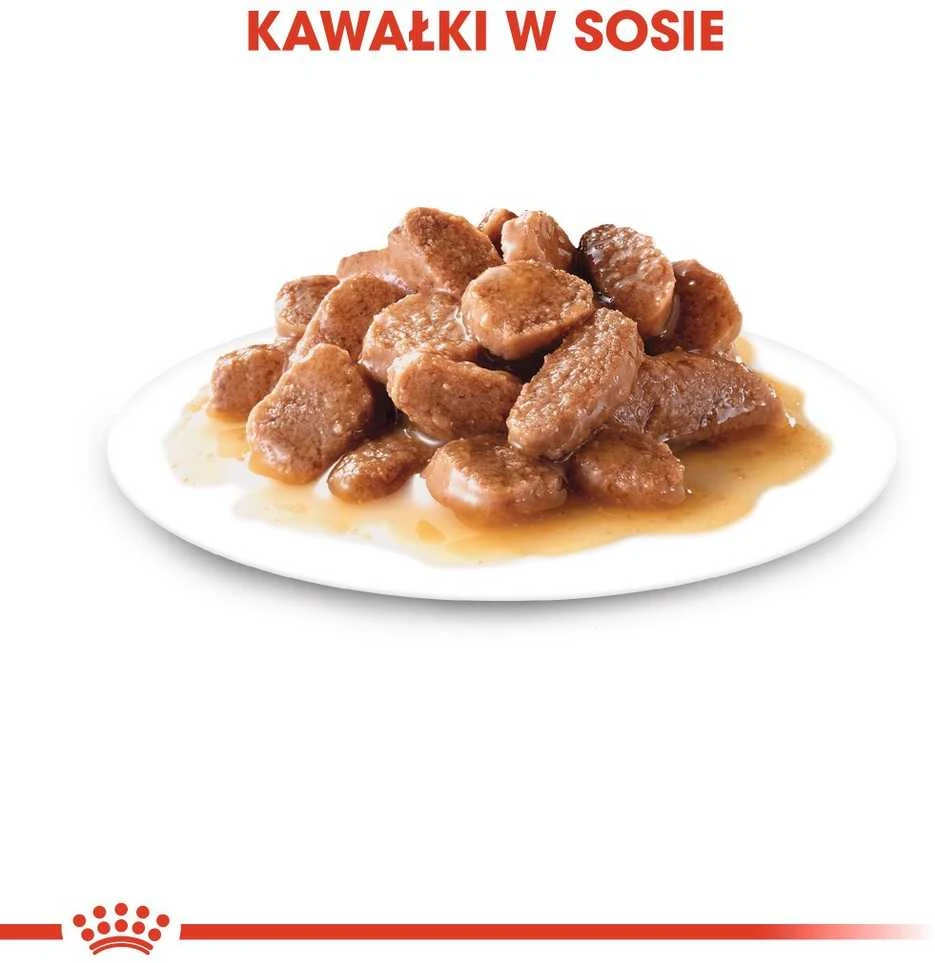 FHN Cat Instinctive Gravy 12x85 g