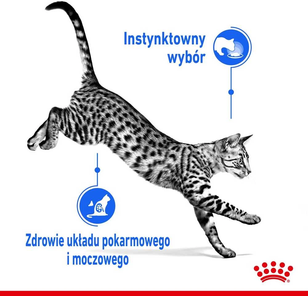 FHN Cat Indoor Jelly 12x85 g