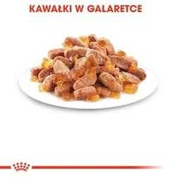 Royal canin fhn kitten Instinctive želė - šlapias maistas kačiukams - 12x85g