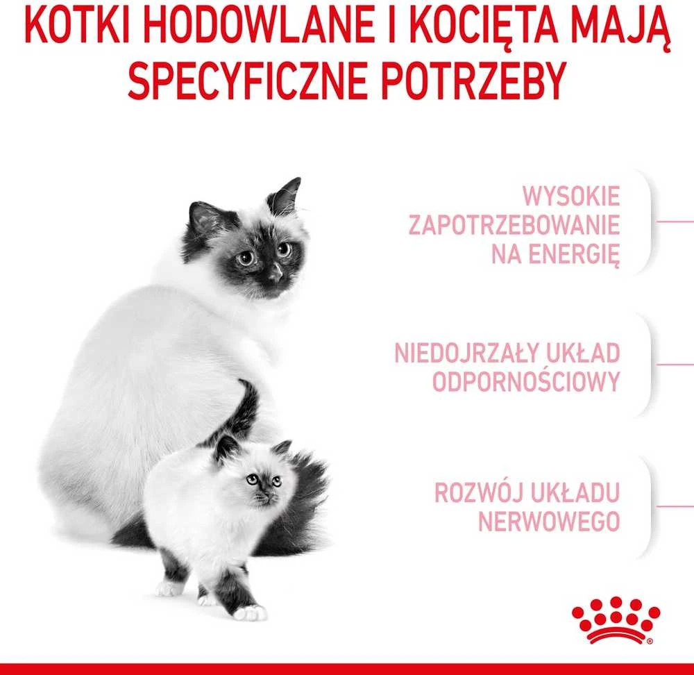 Royal Canin Babycat 2kg
