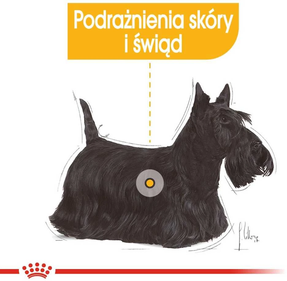 ROYAL CANIN CCN MINI DERMA 3kg, mažų veislių, suaugusių, jautrią odą turinčių šunų sausas pašaras