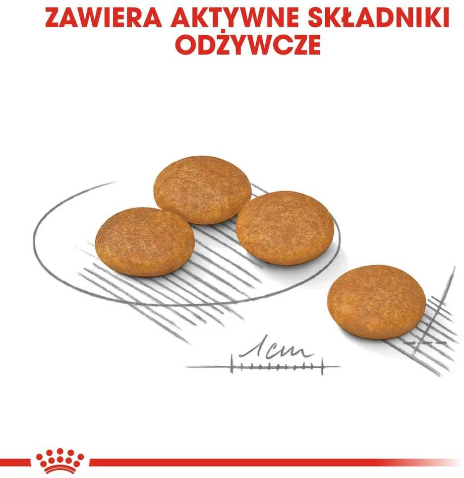 ROYAL CANIN CCN MINI DERMA 3kg, mažų veislių, suaugusių, jautrią odą turinčių šunų sausas pašaras