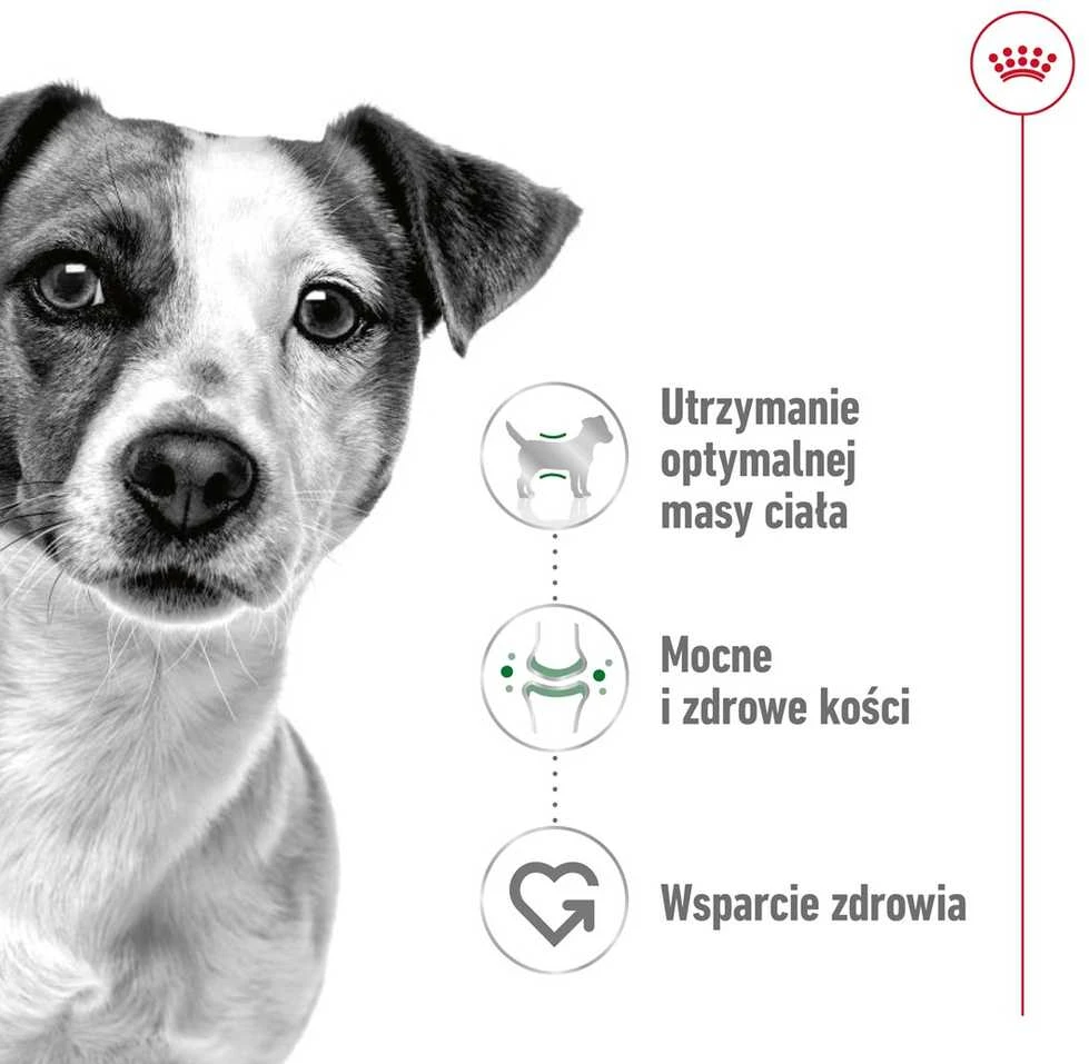 ROYAL CANIN Adult Mini S - sausas šunų maistas - 2kg