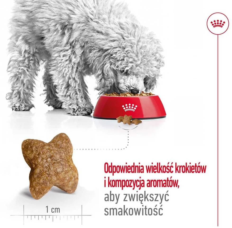 ROYAL CANIN Adult Mini S - sausas šunų maistas - 2kg