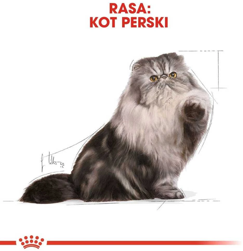 Royal canin persian adult - maistas katei rasy pers - 2kg