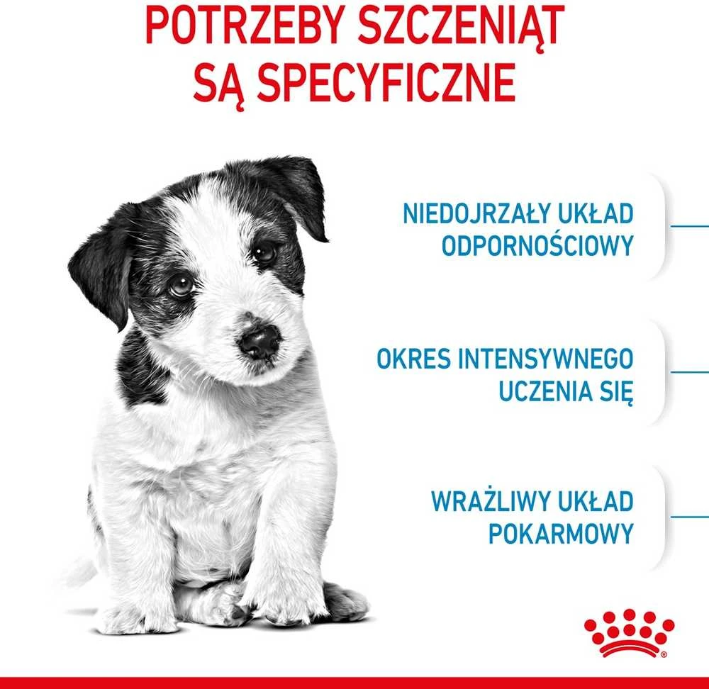 Royal Canin Mini Junior 4kg