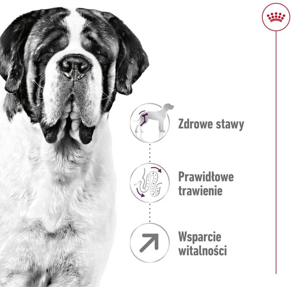 Royal Canin Giant Adult 15kg