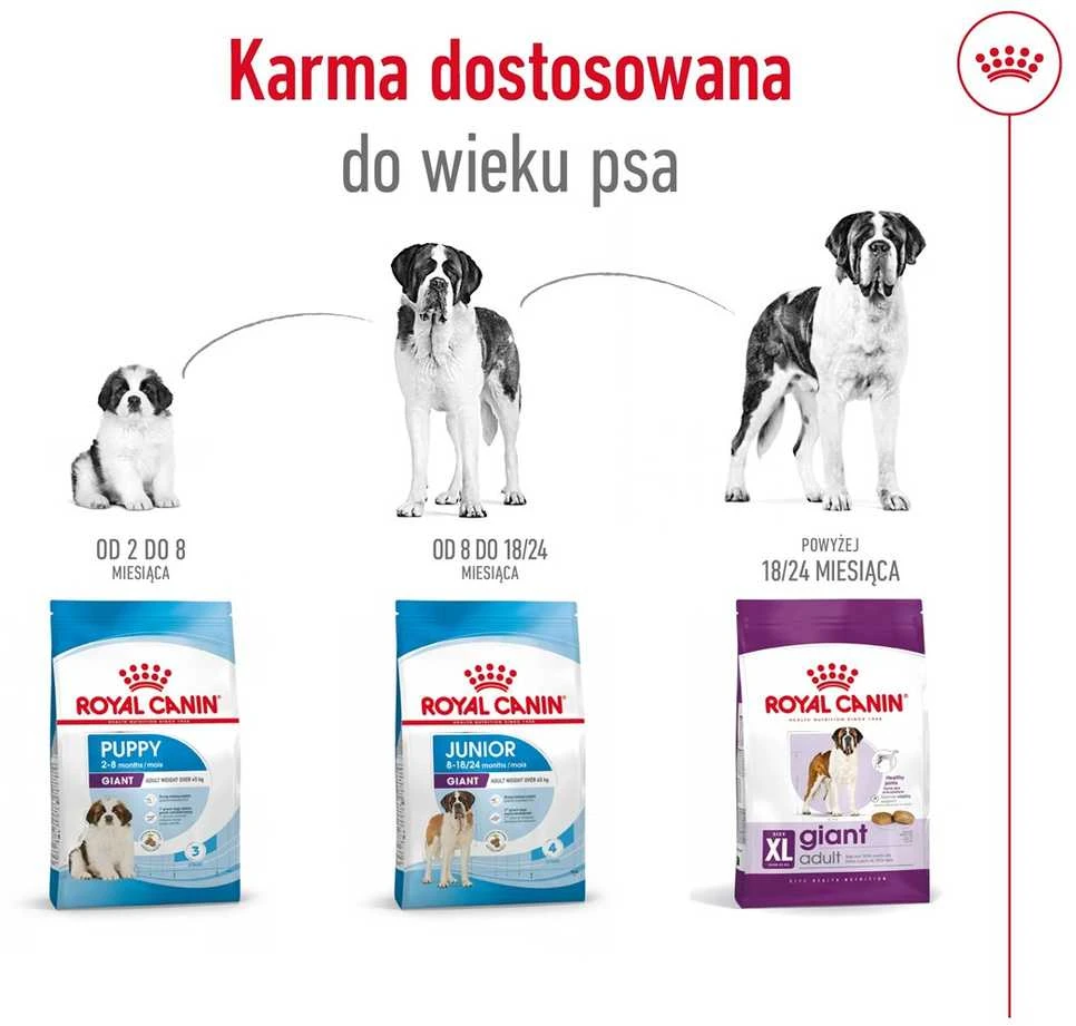 Royal canin shn giant adult - sausas maistas šuniui dorosłego - 15 kg