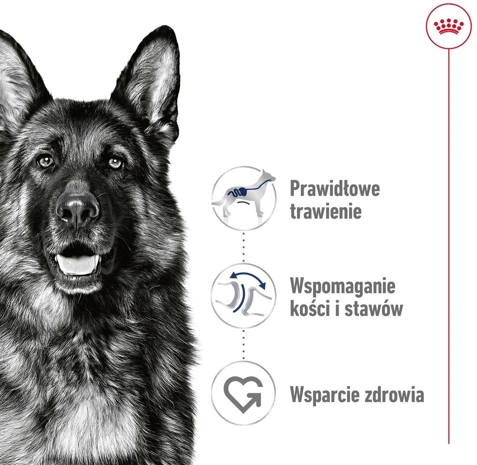 ROYAL CANIN SHN Maxi sausas sausas maistas suaugusioms katėms, 410 g
