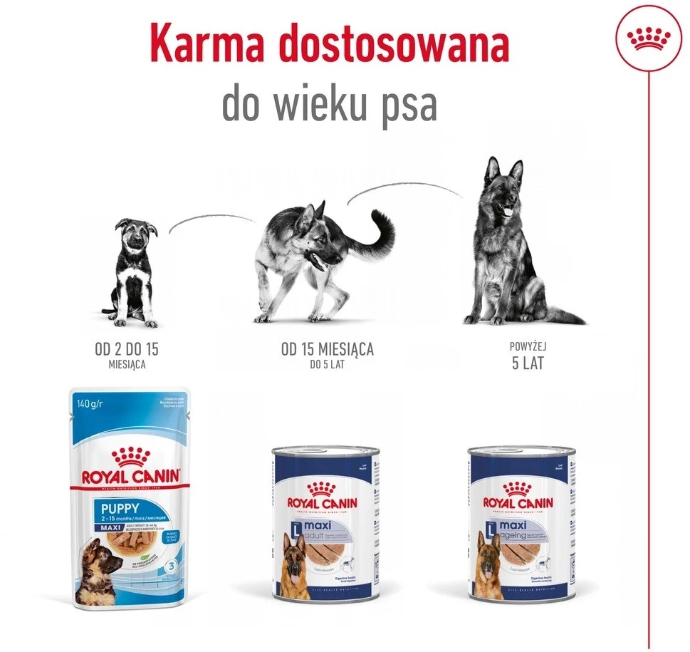 ROYAL CANIN SHN Maxi sausas sausas maistas suaugusioms katėms, 410 g