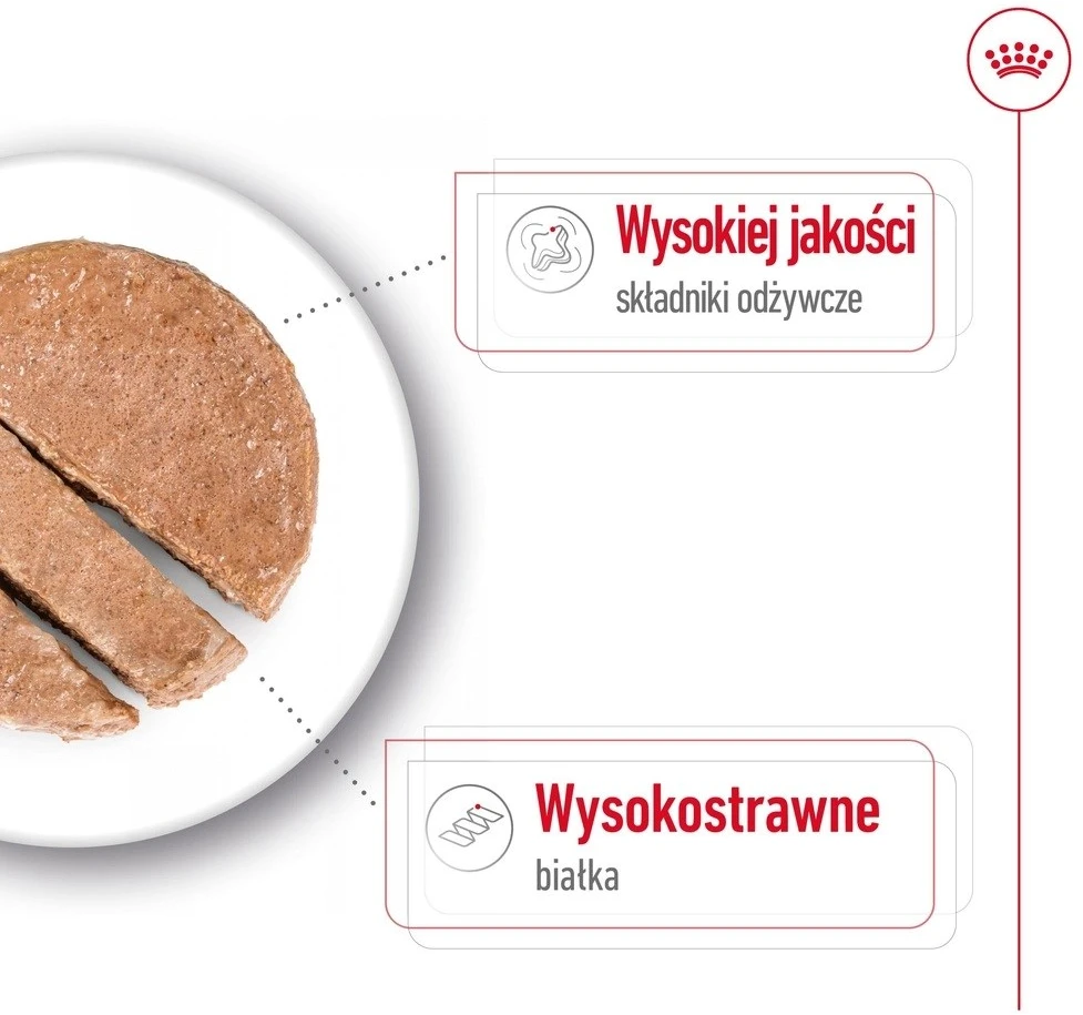 ROYAL CANIN SHN Maxi sausas sausas maistas suaugusioms katėms, 410 g