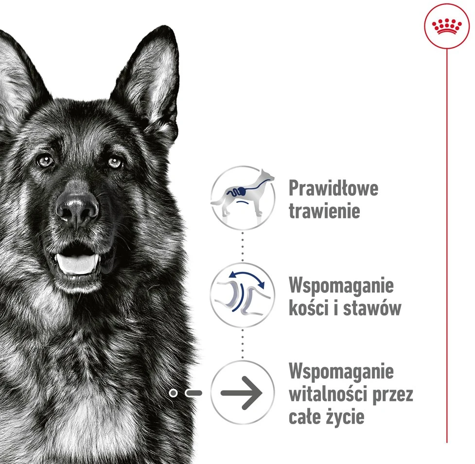 ROYAL CANIN SHN Maxi Ageing Loaf konservas šunims, 410 g