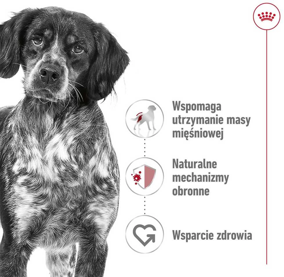 Sausas Šunų Maistas - Royal Canin Shn Medium Adult 15kg