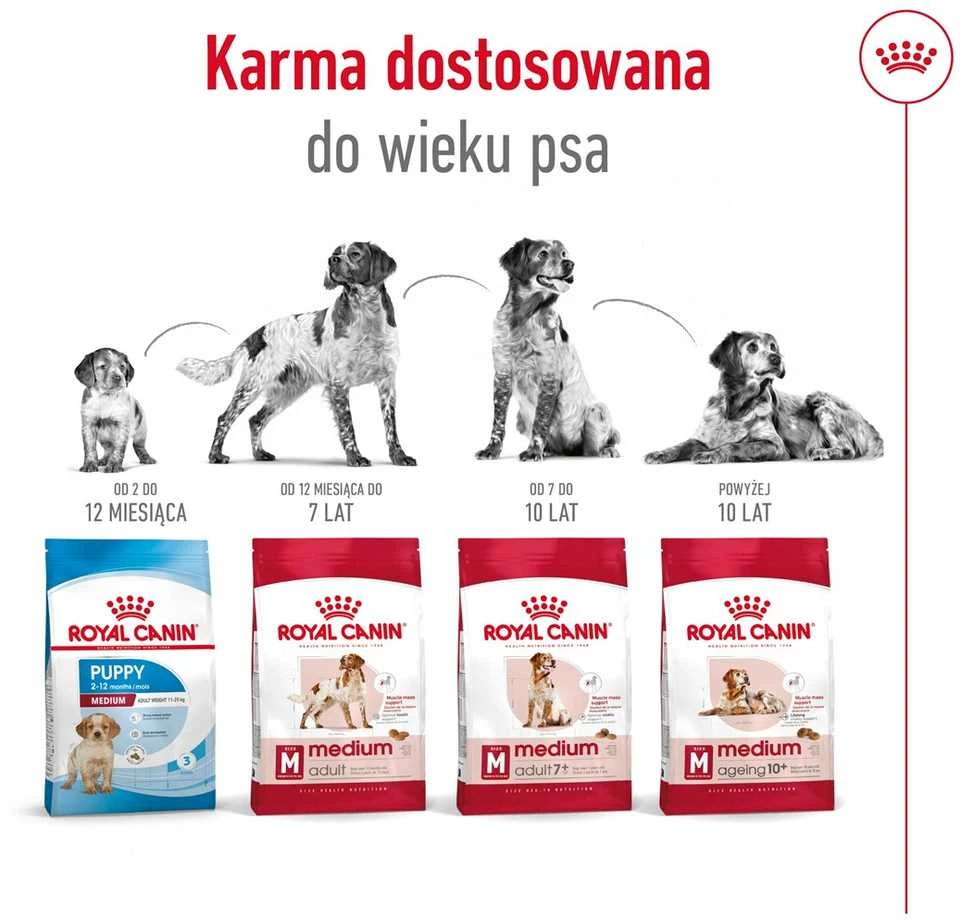 Sausas Šunų Maistas - Royal Canin Shn Medium Adult 15kg
