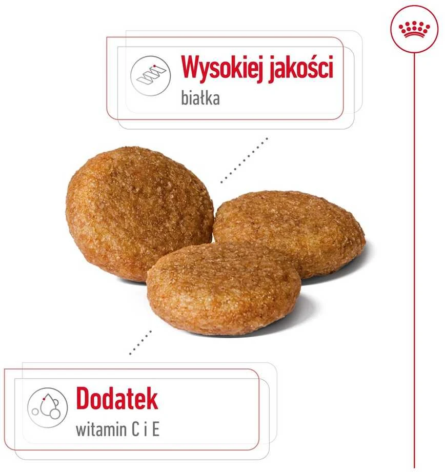 Royal Canin SHN vidutinio dydžio suaugusių šunų pašaras BF 4kg